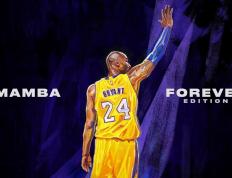 开云体育官网-防守的艺术，从NBA总决赛到摩洛哥锁死荷兰的战术交响