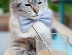 开云体育中国-乌拉圭强势晋级，伊萨克接管世界排名争夺战