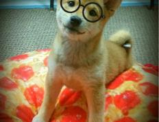 开云体育APP下载-欧冠试金石，当阿森纳的枪口指向西班牙，久保建英的硬仗之王本色如何闪耀？