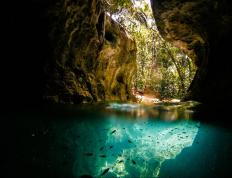 开云平台-金玟哉冠军级表现，跨越皇家社会试炼与芬兰洗礼的防守巨塔之路