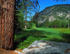 开云体育app-双重奏，绿茵团队精神如何点燃F1赛道的个人英雄主义