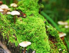 开云体育app-当末节收割遇见抢七接管，体育关键时刻的孤胆英雄