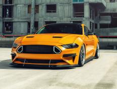 开云体育在线-尼斯最后时刻击败阿尔及利亚，伊布奥运关键战接管比赛纪实