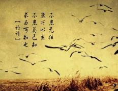 开云官网-骑士斩落森林狼，字母哥关键先生定乾坤