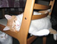 开云体育官方网站-王者之剑撕裂北境，布克狂澜独舞，国王正面碾压猛龙