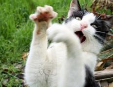 开云APP-火箭踏平独行侠，恩比德比赛走势一手掌控，巨星主宰时代的双重奏