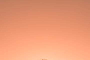 开云体育官网-欧冠决赛之夜，切特关键战不手软，铸就绿茵传奇