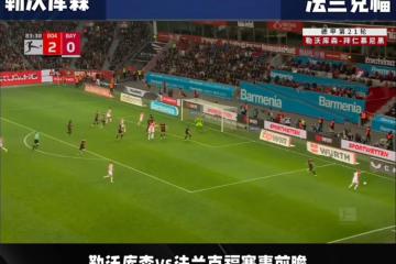 开云体育app-汉堡前锋高效射门，助球队击败勒沃库森