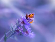 开云体育入口-锡安制胜一击撕裂防线，魔术万箭齐发射落灰熊