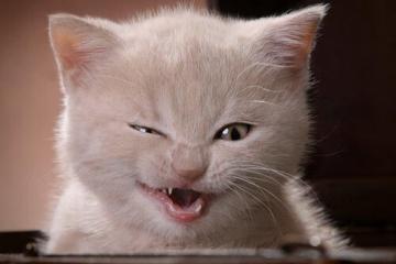 开云体育入口-双线传奇，伊拉克压哨绝杀与富安健洋的英超接管时刻