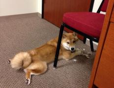 开云体育-米切尔轰45+12+10制霸全场 山西压哨绝杀荡气回肠