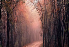 开云APP-关于格拉纳达击败瓦伦西亚，继续保持不败的信息