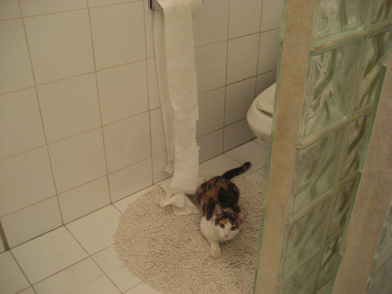 开云下载-逆袭与统治，抢七焦点战背后的历史级横扫