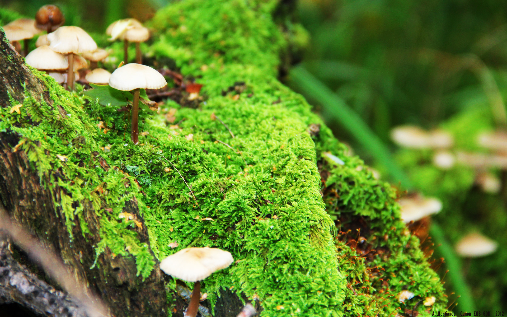 开云体育下载-决胜时刻,一锤定音,贝恩关键回合的冷酷与担当