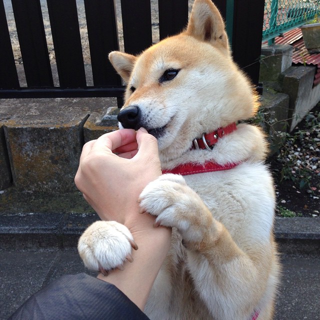 开云体育官方网站-从致命三分到沉默凝视，杜兰特如何在决胜局成为魔术师的最终底牌