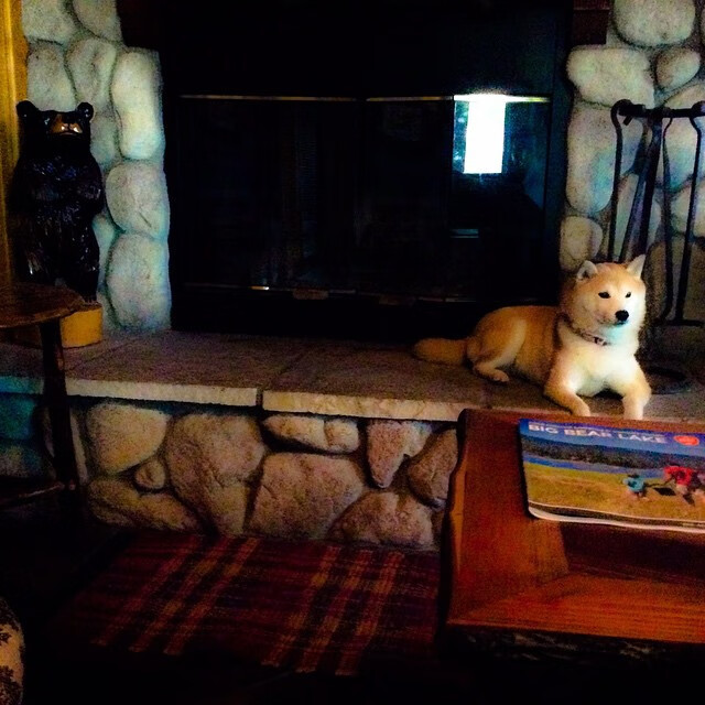 开云体育入口-绿茵场与硬木地板的交响,足球与篮球的终极对决