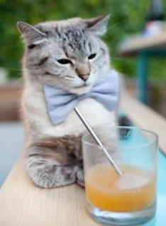 开云体育中国-乌拉圭强势晋级,伊萨克接管世界排名争夺战