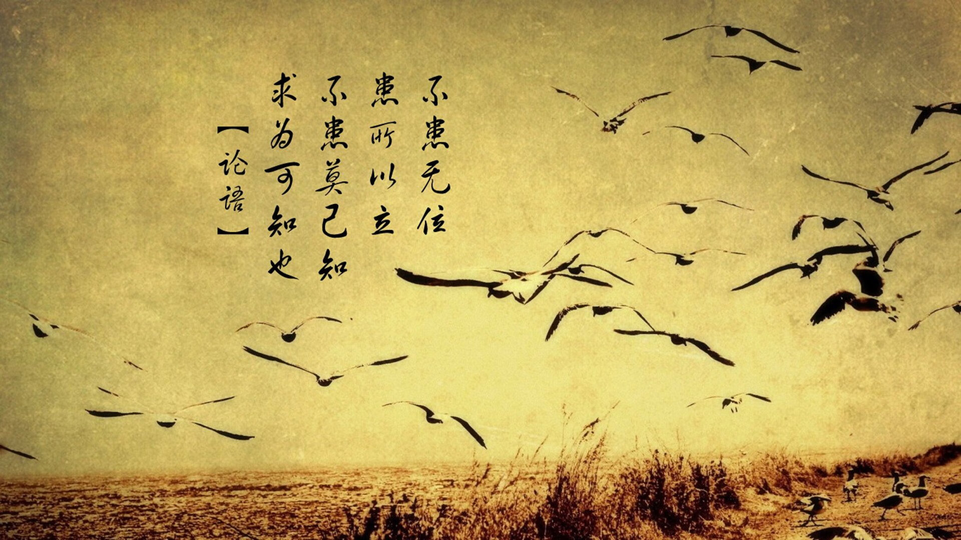 开云体育APP下载-利拉德破壁与上海绝杀，当一个名字重新定义全局