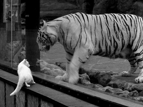 开云体育中国-基米希爆发与利物浦的巴西终结，足球战术革新时代的降临