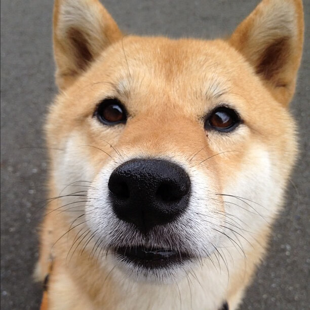 开云体育app-冰与火的对决，伦纳德如何在鏖战中化身终结者？