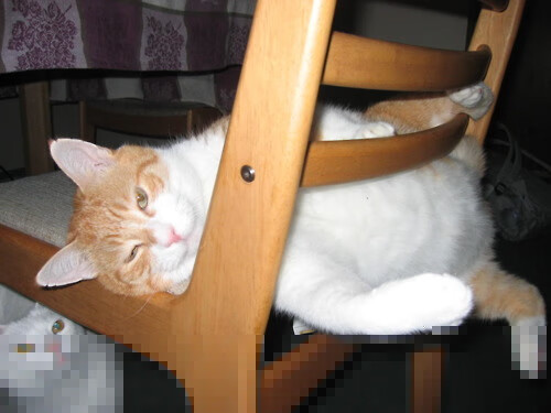 开云体育官方网站-王者之剑撕裂北境，布克狂澜独舞，国王正面碾压猛龙